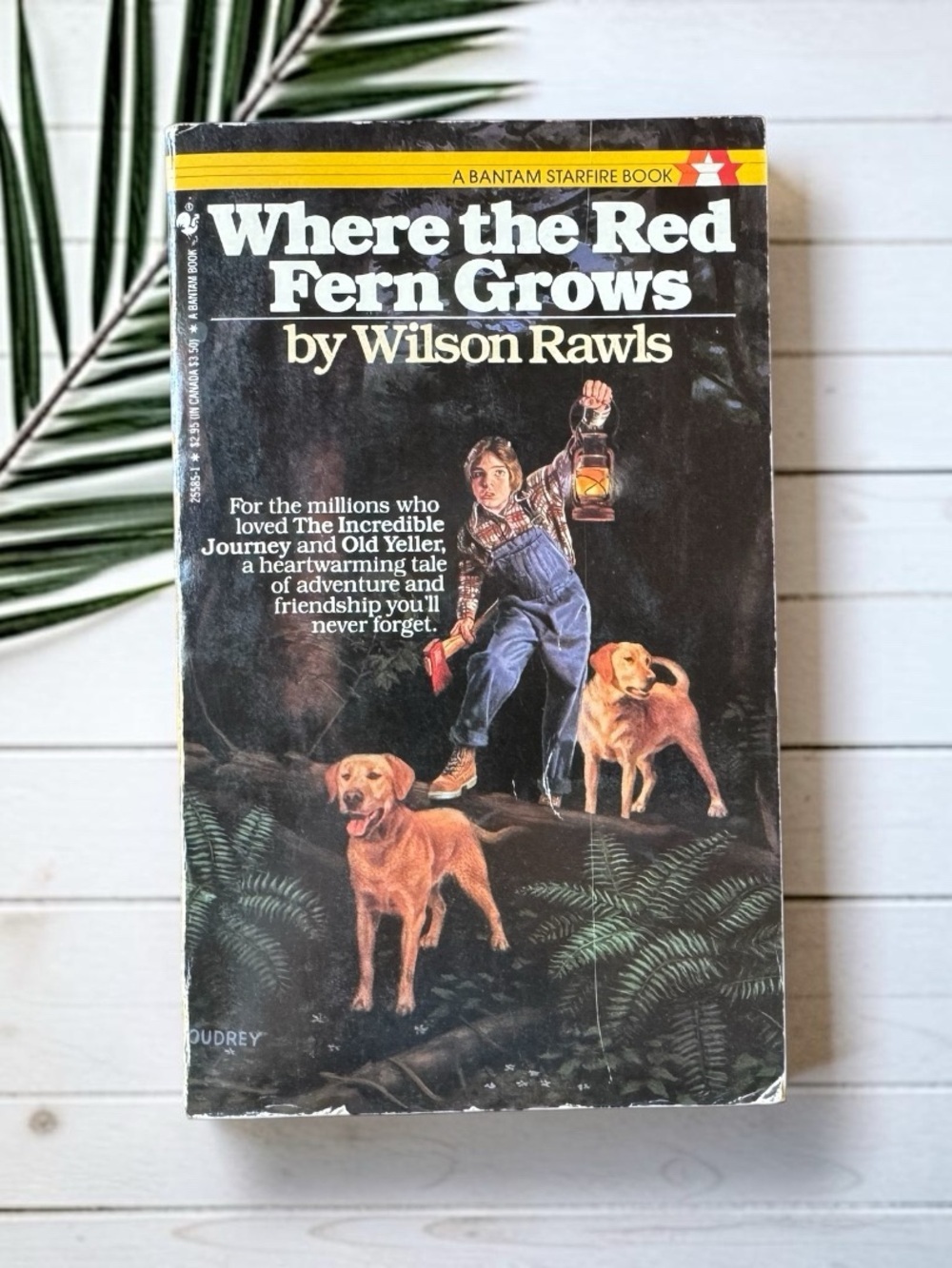 Wilson Rawls Where the Red Fern Grows Vintage 1985 Bantam Starfire Paperback